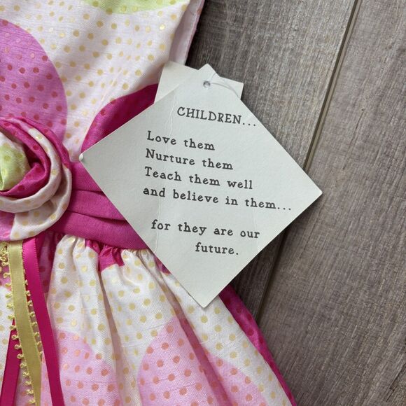 Blueberi Boulevard Girls Dress Size 3T Pink Wedding Sparkle Spring Easter NWT - Picture 7 of 13